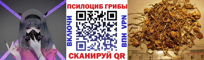 Галлюциногенные грибы Cubensis  Горняк 